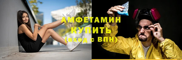 шишки Белоозёрский