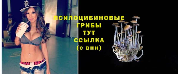 шишки Белоозёрский