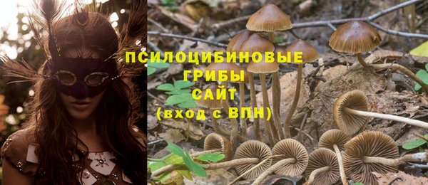 a pvp Балабаново