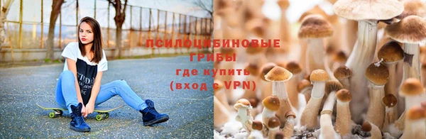 амф Баксан
