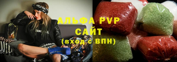 шишки Белоозёрский