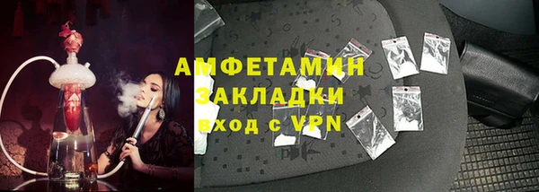 шишки Белоозёрский