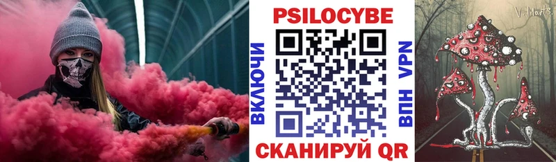 Галлюциногенные грибы Psilocybe  сколько стоит  Колпашево 